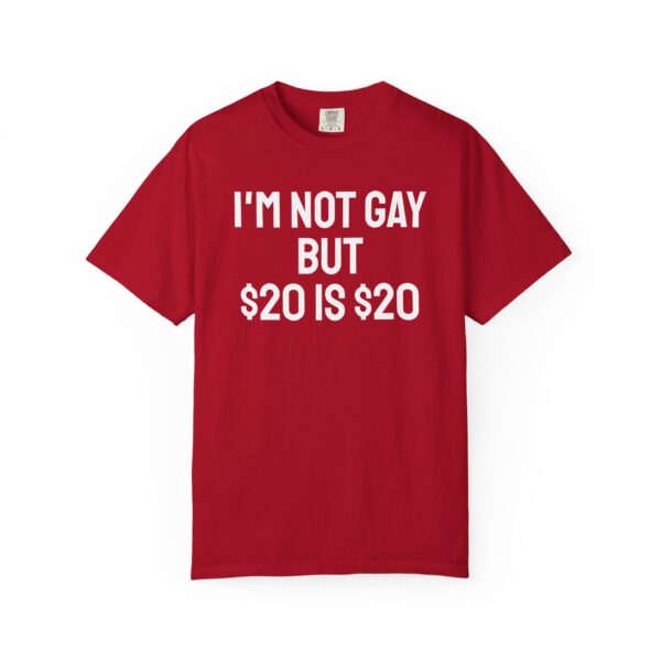 I'm not gay but $20 is $20 tee shirt - Image 21