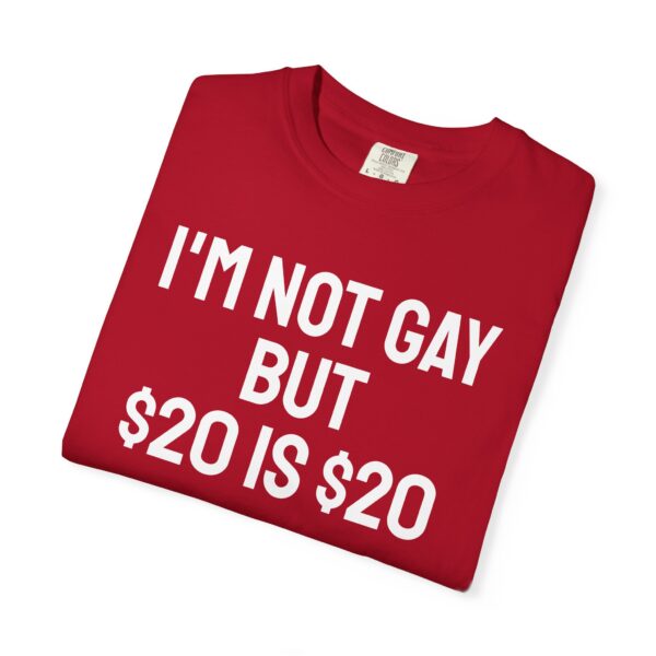 I'm not gay but $20 is $20 tee shirt - Image 23