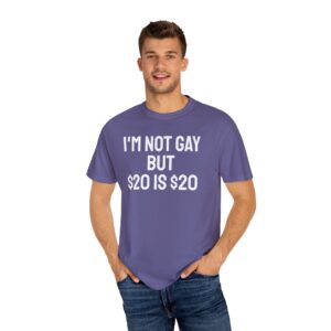 I'm not gay but $20 is $20 tee shirt