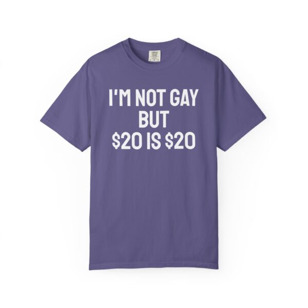 I'm not gay but $20 is $20 tee shirt - Image 2