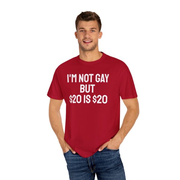 I'm not gay but $20 is $20 tee shirt - Image 24