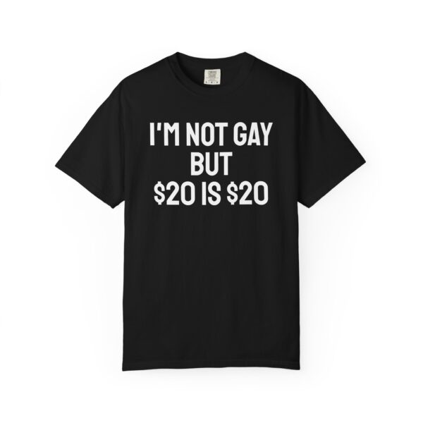 I'm not gay but $20 is $20 tee shirt - Image 17
